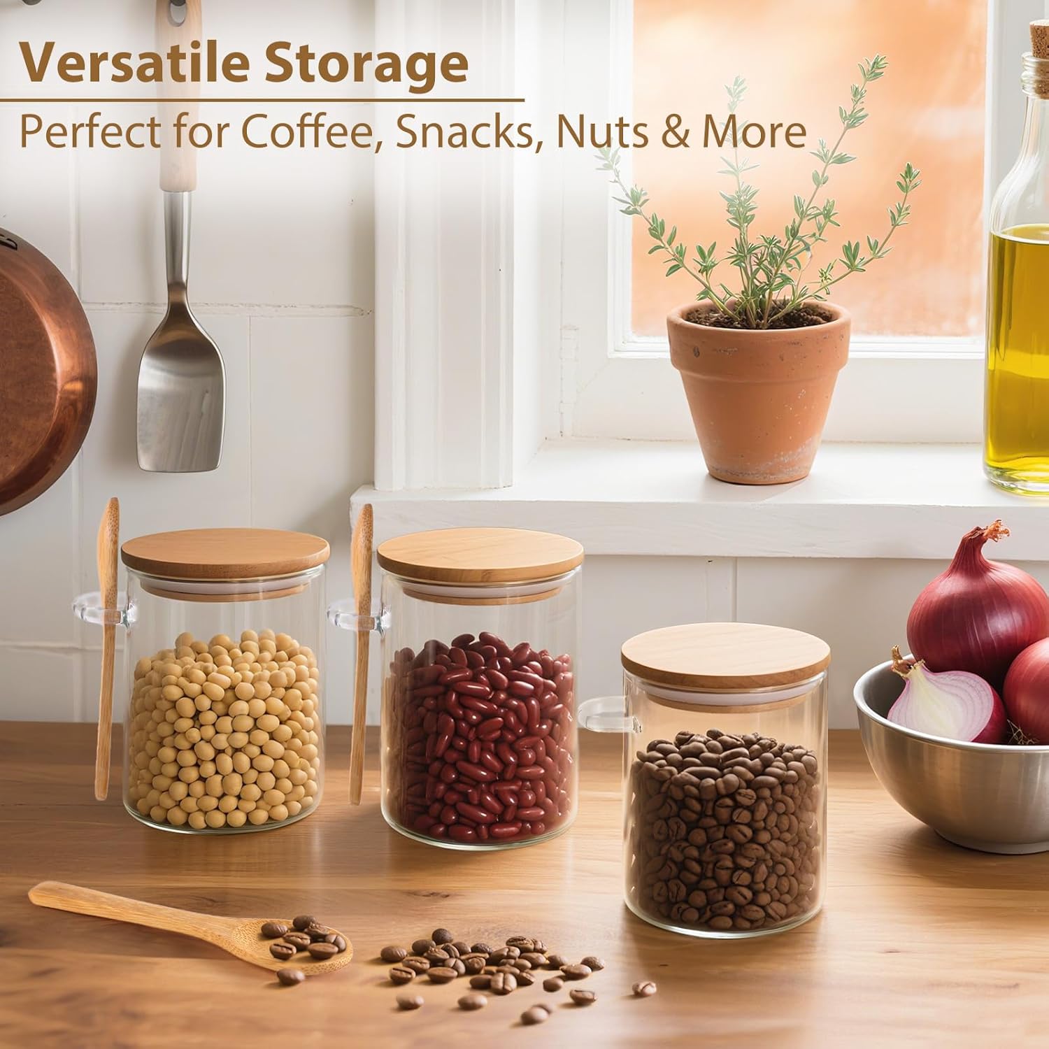 6 Pack Overnight Oats Containe - Meal Prep Glass Containers With Lids reseña y precio